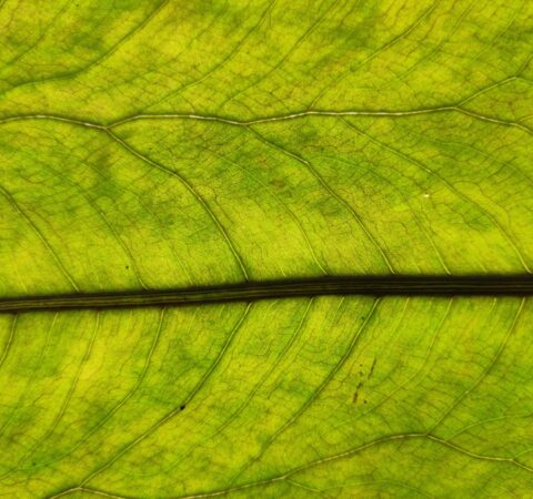 wake up sustainability blog