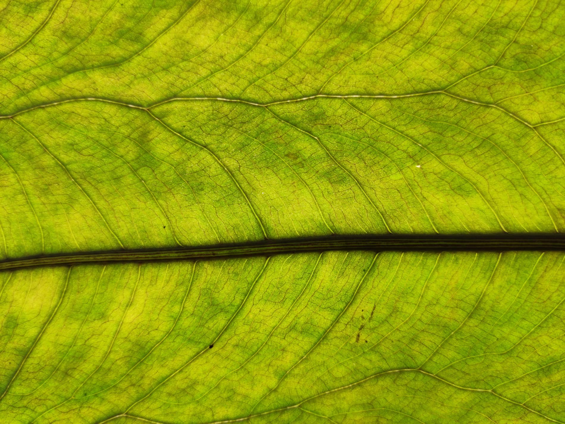 wake up sustainability blog